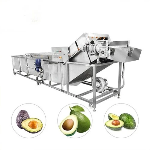 Fruit Washing Machine