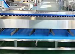 Lemon-Grading-Machine-Continuous-Rotation-During-Conveying Lemon-Grading-Machine-Continuous-Rotation-During-Conveying