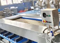 Lemon-Grading-Machine-Multi-Stage-Sorting Lemon-Grading-Machine-Multi-Stage-Sorting