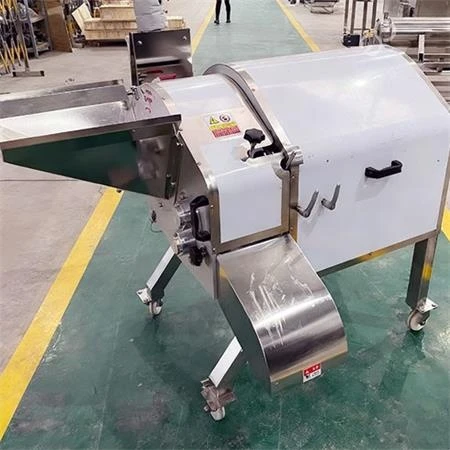 product-1-360 Onion dicer mobile installation on a factory floor