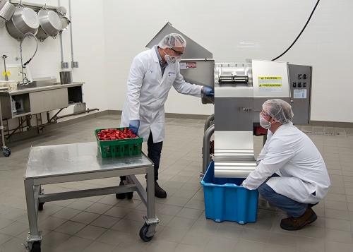 tomato-dicer-processing-room Tomato Dicer Processing Room
