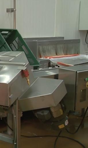 carrot-slicing-machine-processing-plant Carrot slicing machine in processing plant