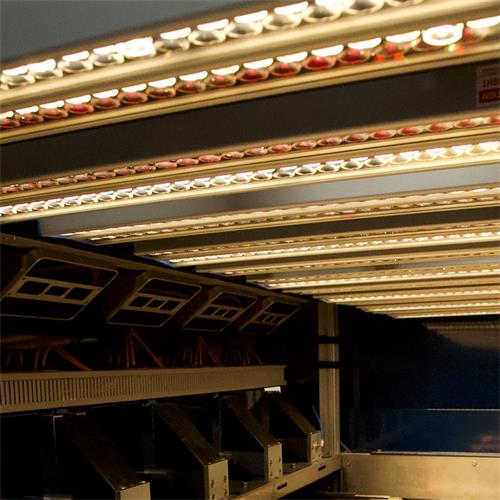 tomato-sorter-vision-inspection-section Tomato sorter vision inspection section